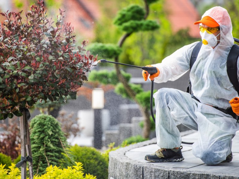 Çatalca Haşere İlaçlama